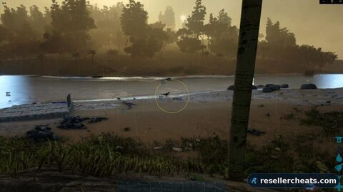 SHACK — ARK: Survival Ascended