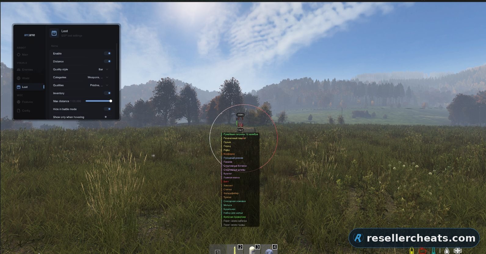 Скриншот чита ARCANE для DayZ