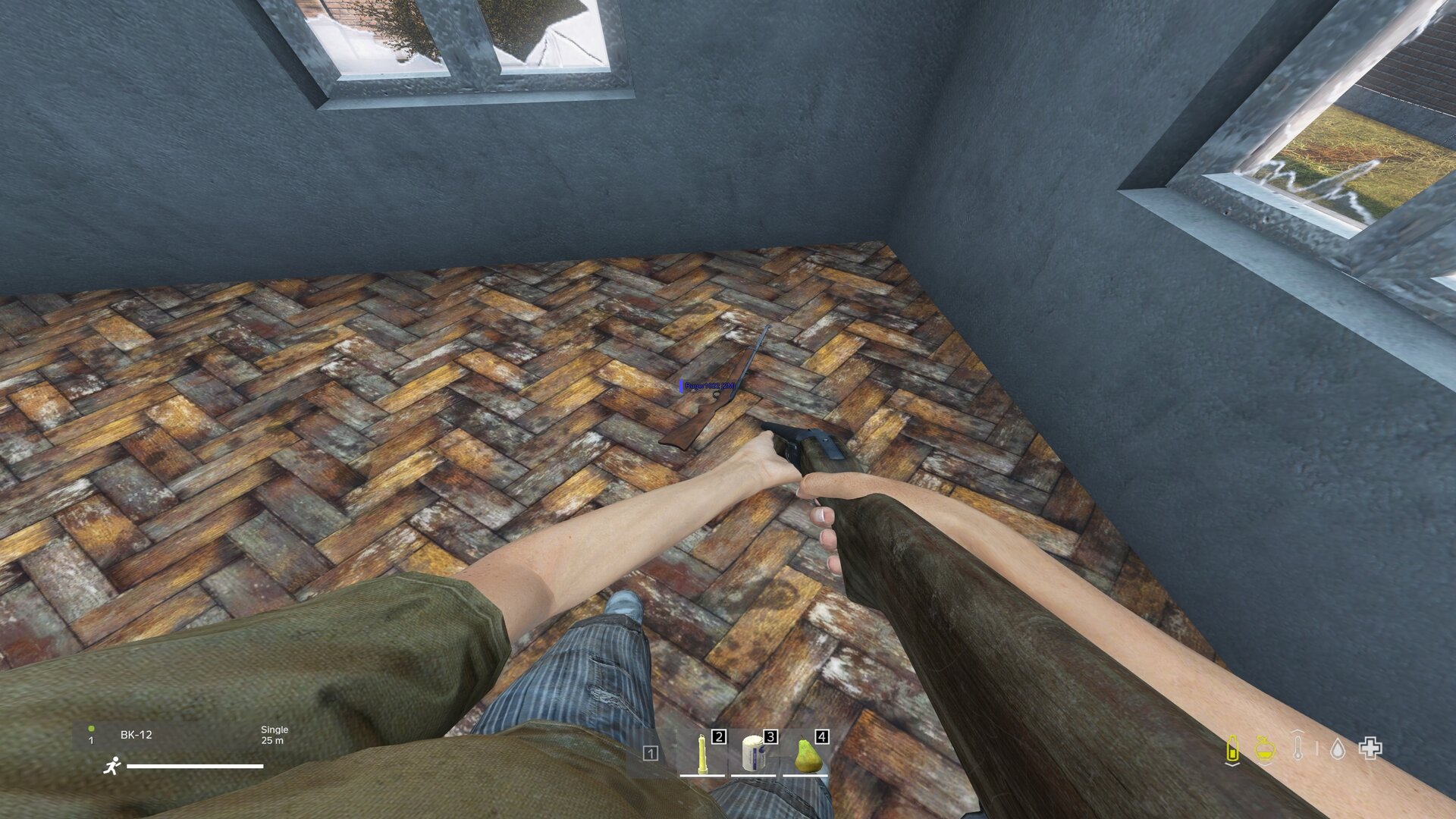 Скриншот чита ARCANE для DayZ