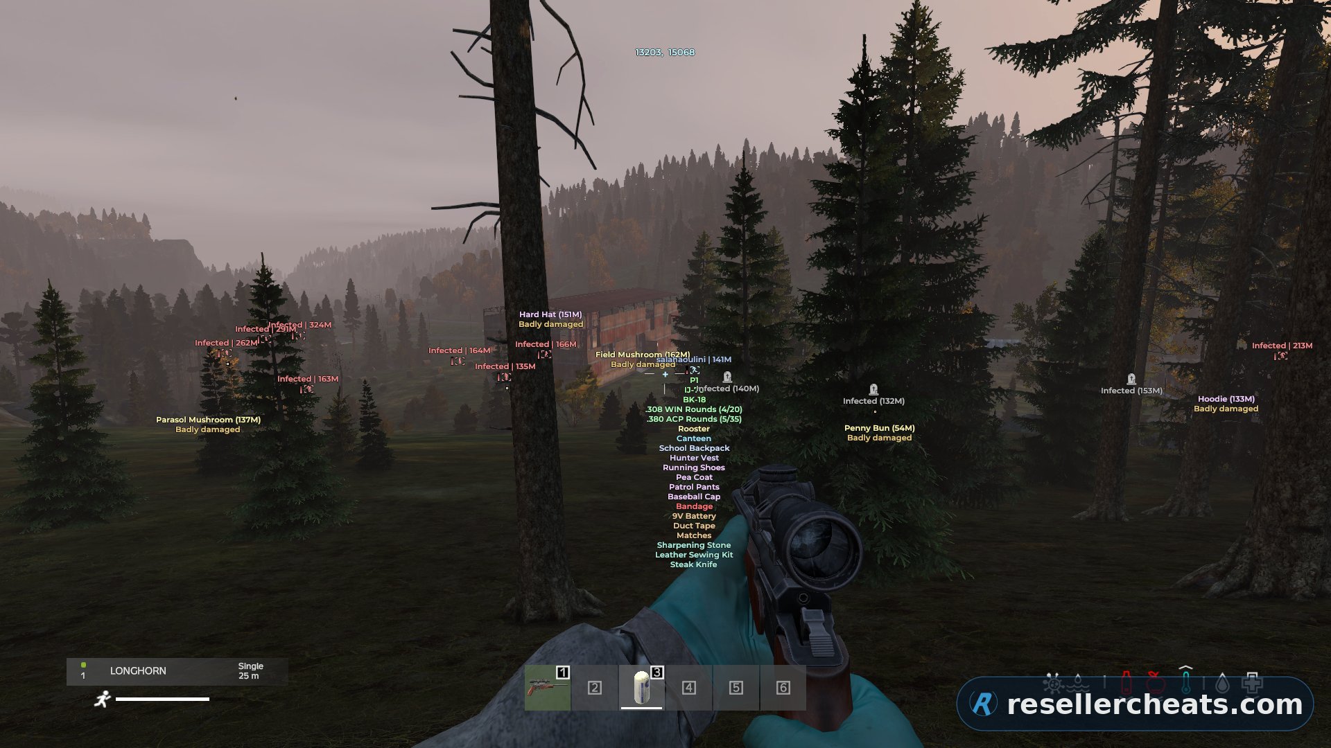 Скриншот чита MEDUSA FULL для DayZ