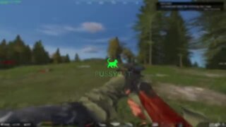 Видео о софте PUSSYCAT